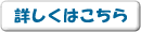 �t���b�V���ÎZ�v���~�A���̏ڍ�